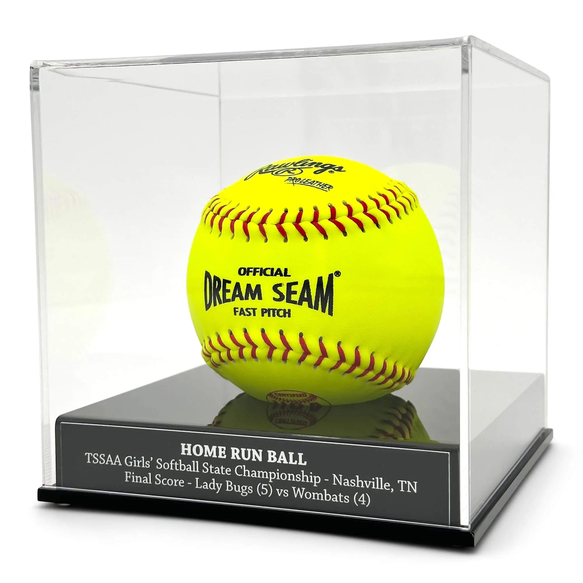 Softball Display Case