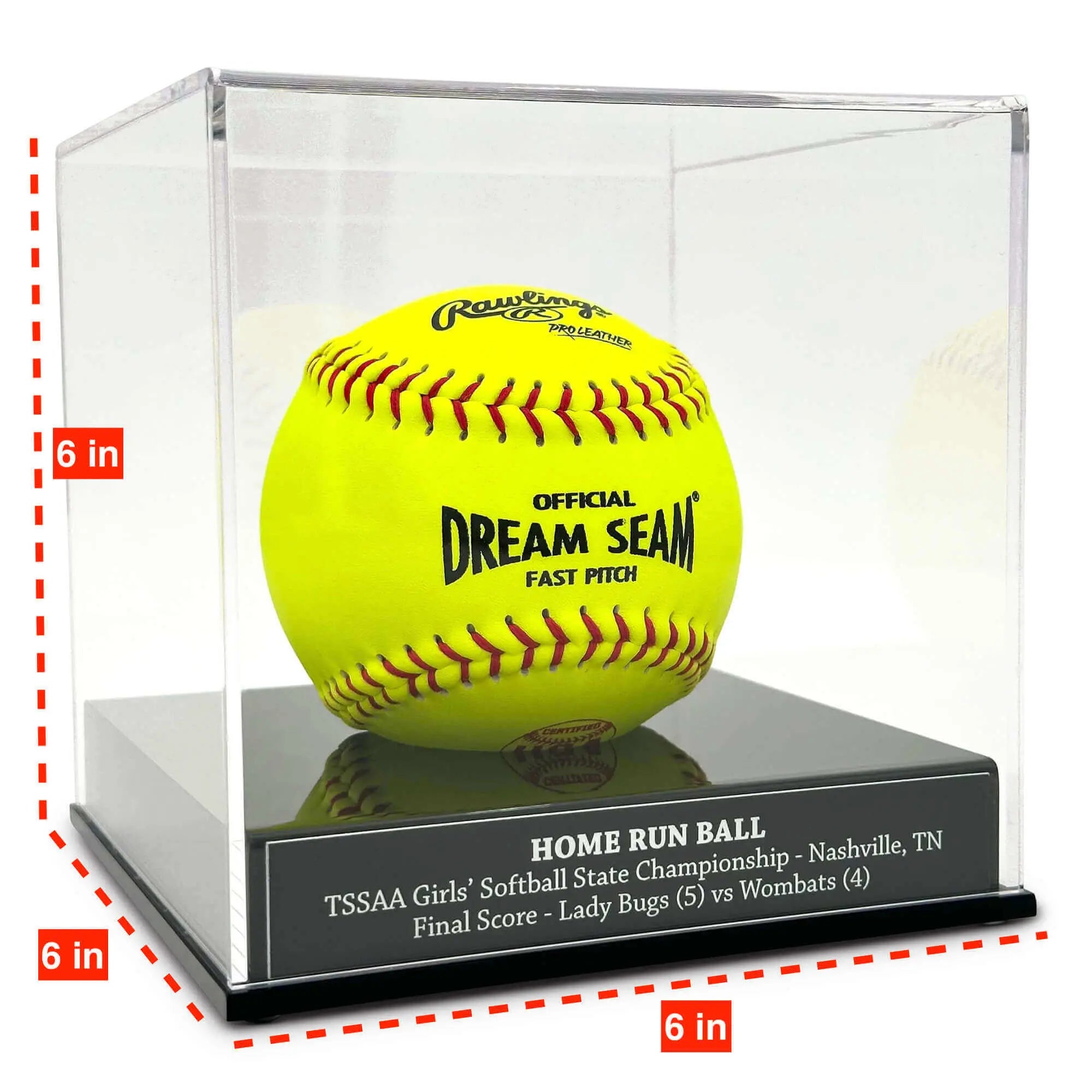 Softball Display Case